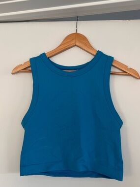 Aritzia Golden Crop Tank Top Blue Ribbed M